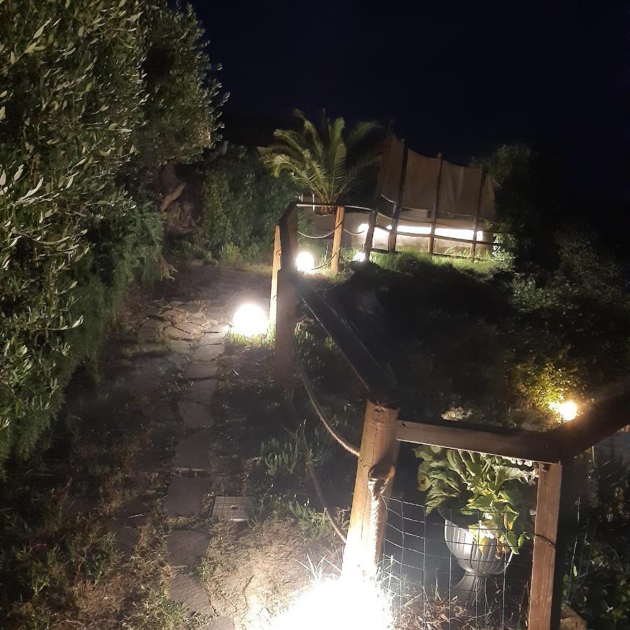 Holiday Home Tavullia Exterior photo